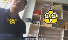 传销大师爆料视频播放大全,视频播放大全背后的惊人内幕